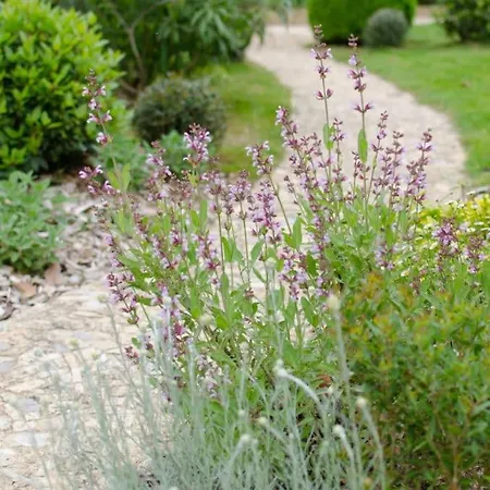 House And Beautiful Garden - Bastide Perigord * ドンム