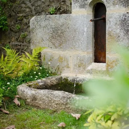 House And Beautiful Garden - Bastide Perigord ドンム